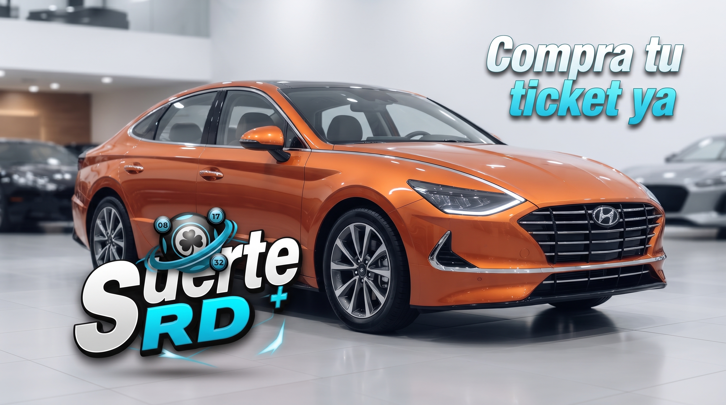 Ganador 6